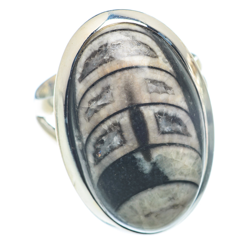Orthoceras Fossil Rings handcrafted by Anasilvercos - RING72918