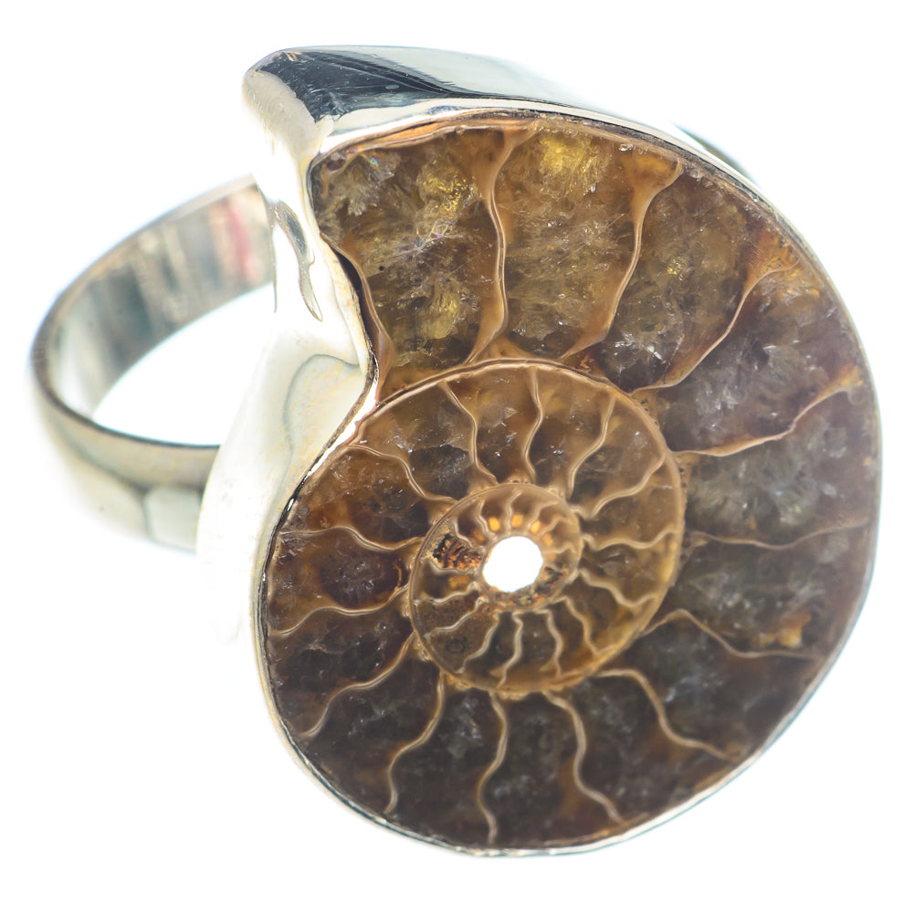 Ammonite Fossil Rings handcrafted by Anasilvercos - RING72943