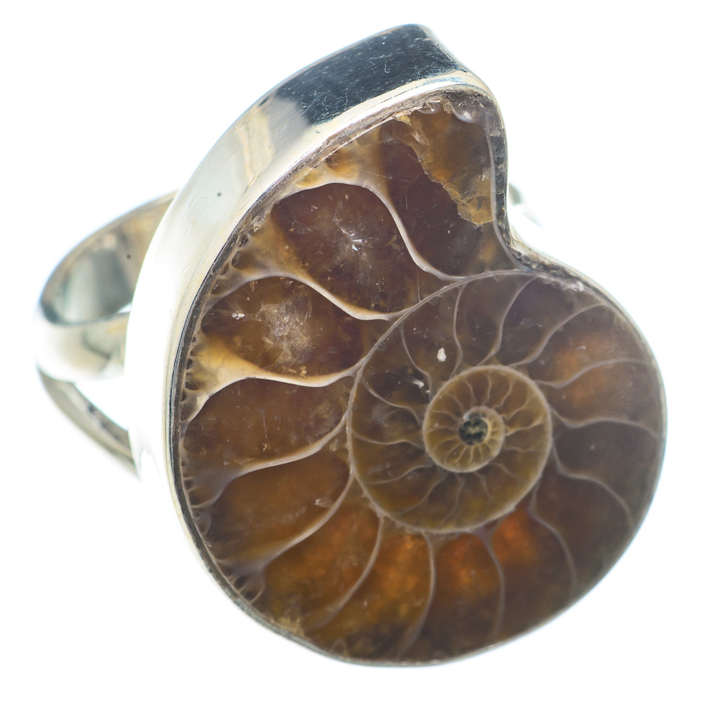 Ammonite Fossil Rings handcrafted by Anasilvercos - RING73242
