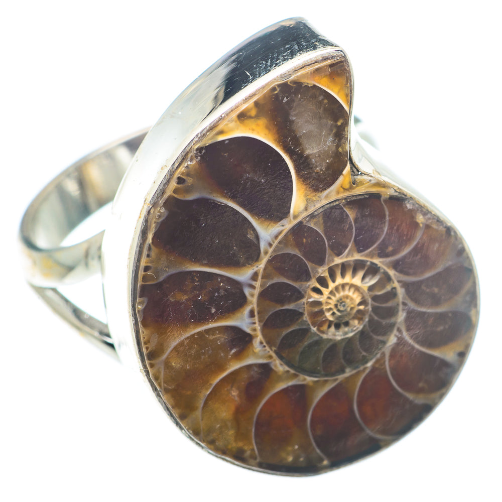 Ammonite Fossil Rings handcrafted by Anasilvercos - RING73392