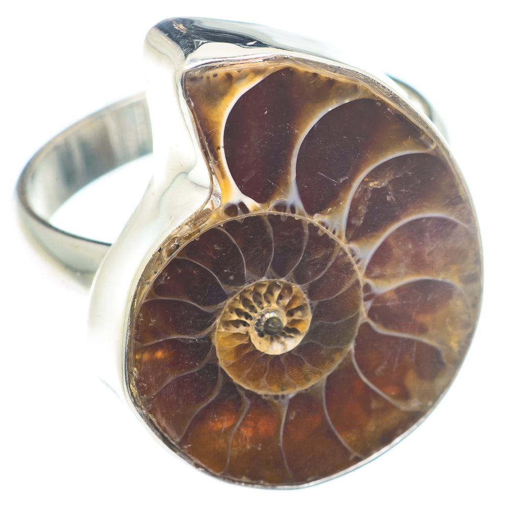 Ammonite Fossil Rings handcrafted by Anasilvercos - RING73584