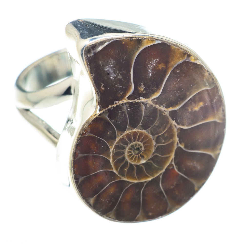 Ammonite Fossil Rings handcrafted by Anasilvercos - RING73634