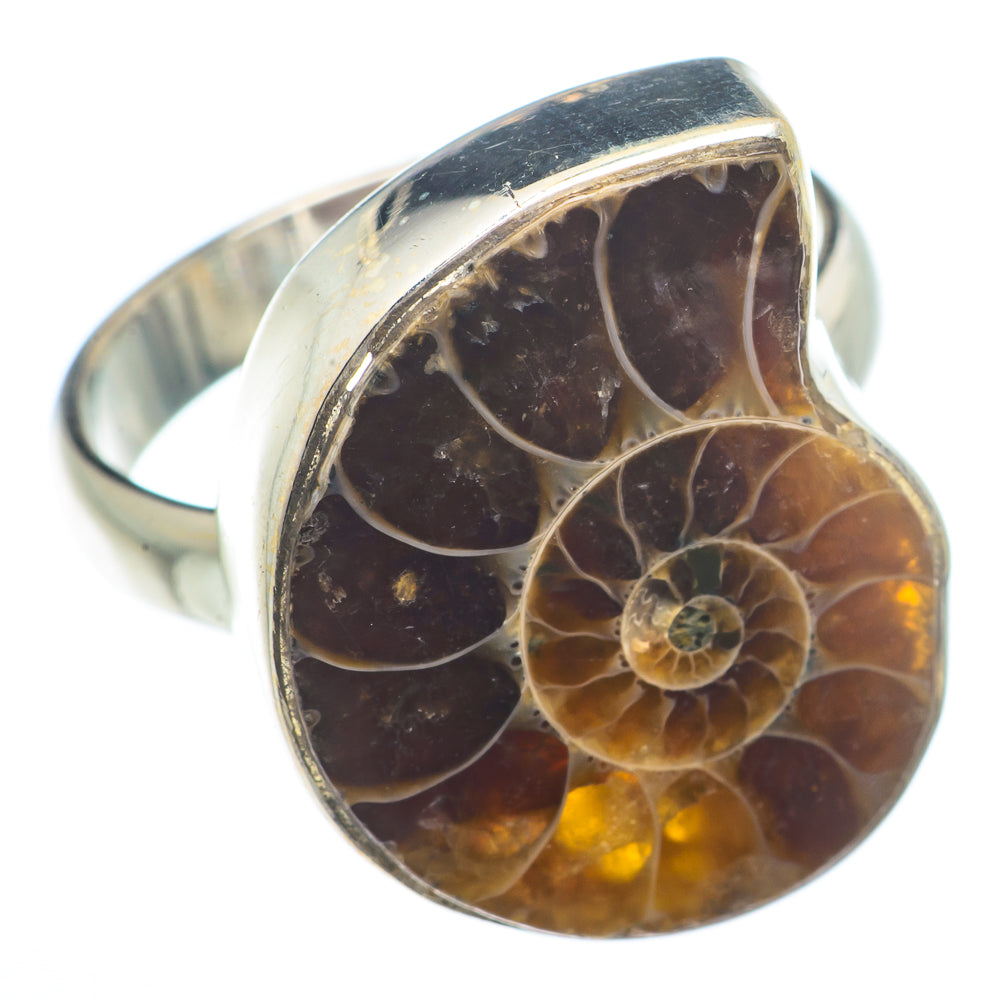 Ammonite Fossil Rings handcrafted by Anasilvercos - RING73721