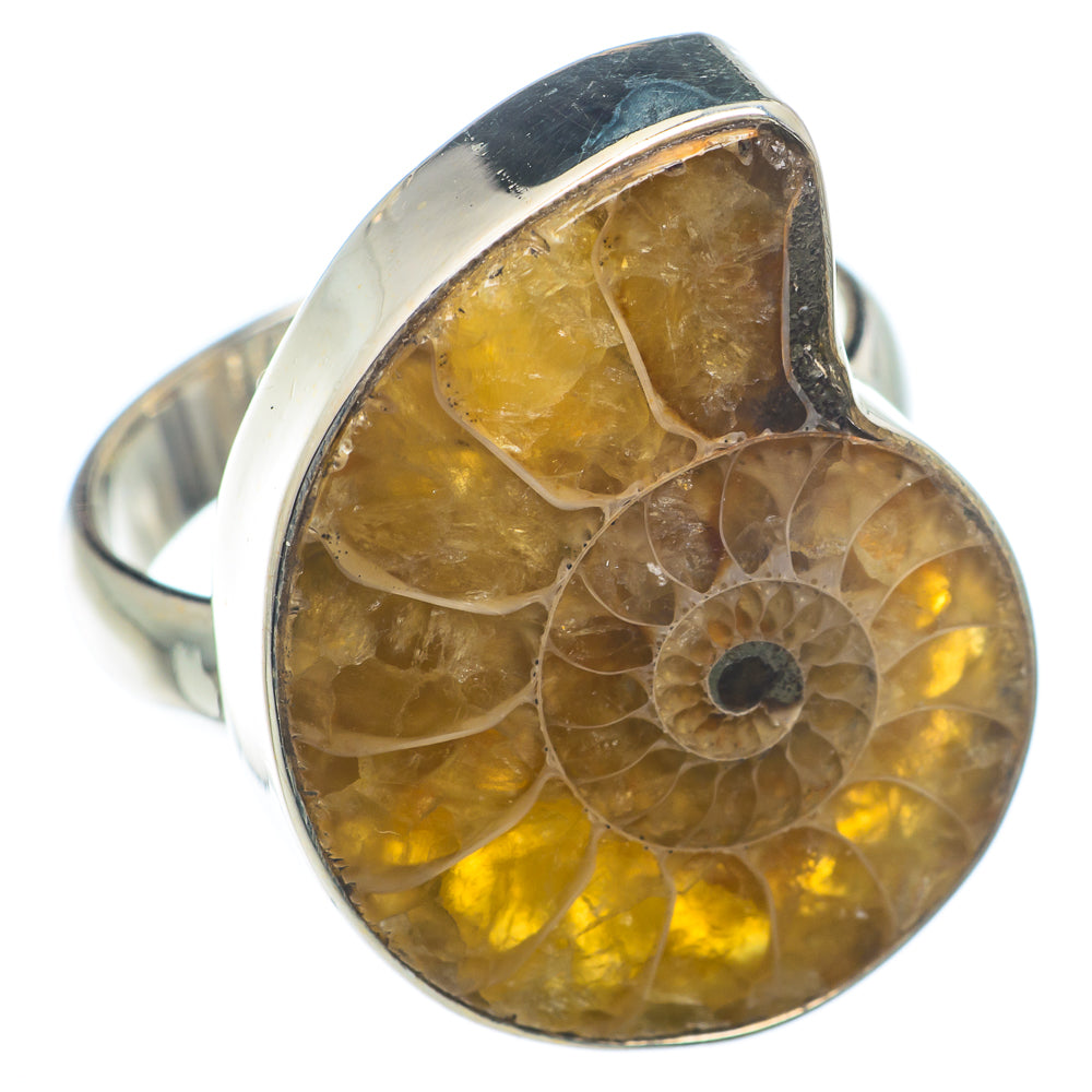Ammonite Fossil Rings handcrafted by Anasilvercos - RING73790