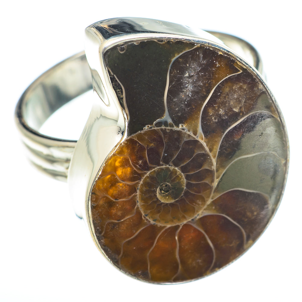 Ammonite Fossil Rings handcrafted by Anasilvercos - RING74036