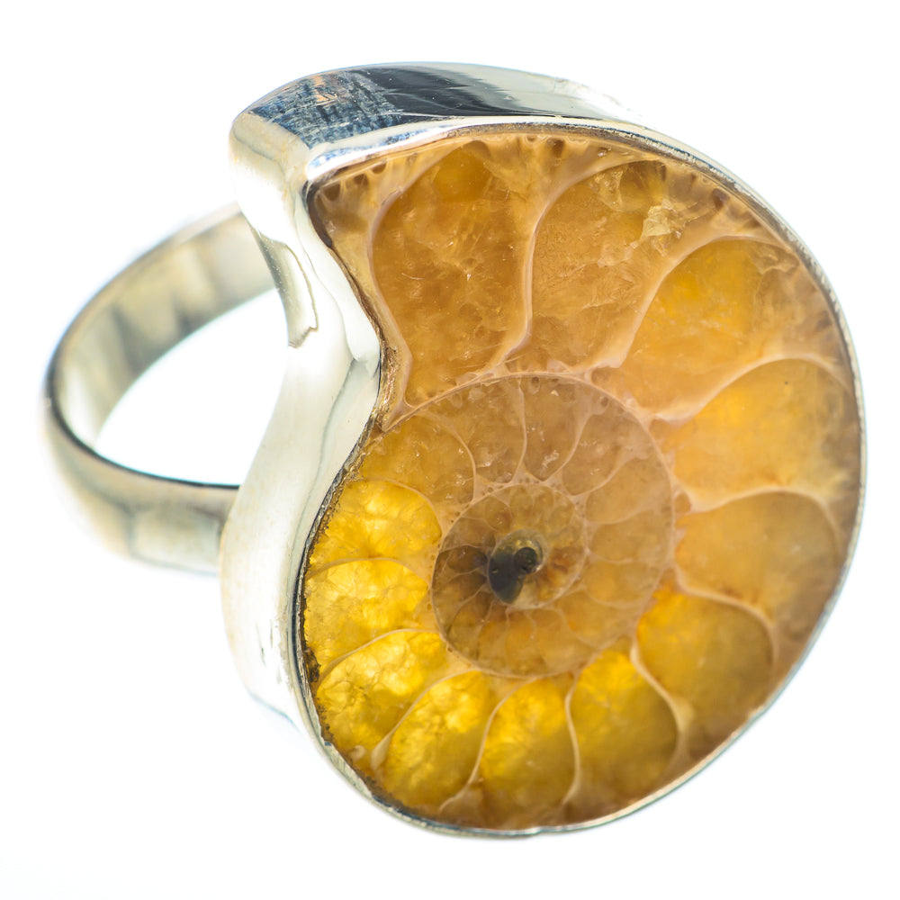 Ammonite Fossil Rings handcrafted by Anasilvercos - RING74068