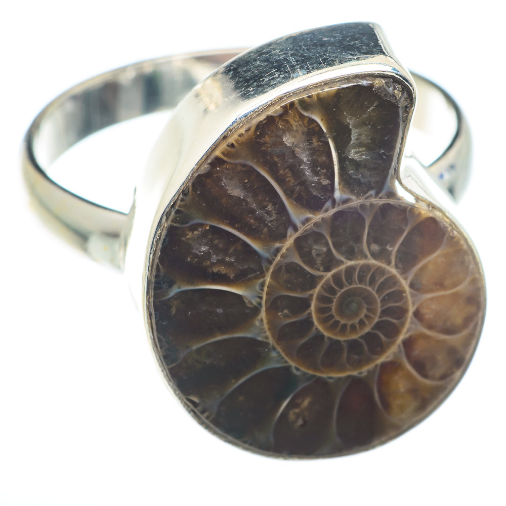 Ammonite Fossil Rings handcrafted by Anasilvercos - RING74112