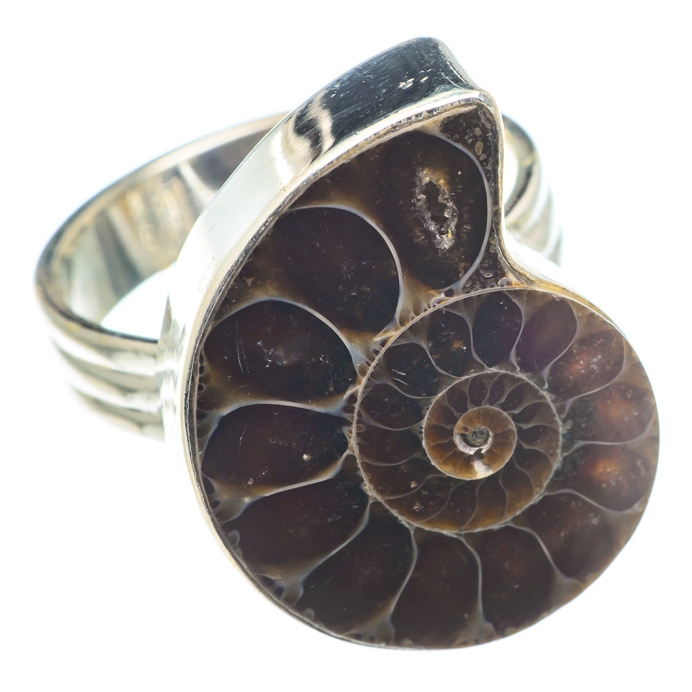 Ammonite Fossil Rings handcrafted by Anasilvercos - RING74199