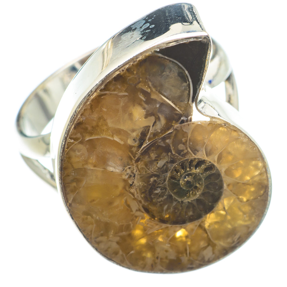 Ammonite Fossil Rings handcrafted by Anasilvercos - RING74276