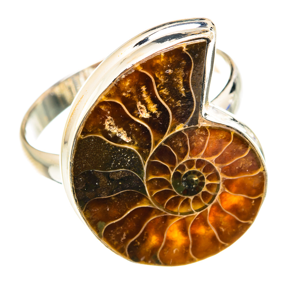 Ammonite Fossil Rings handcrafted by Anasilvercos - RING75570