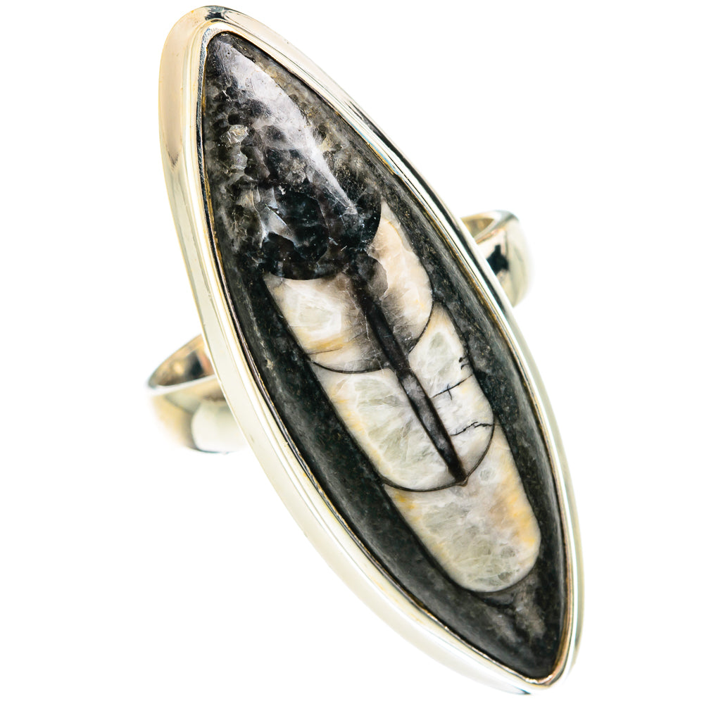 Orthoceras Fossil Rings handcrafted by Anasilvercos - RING76184