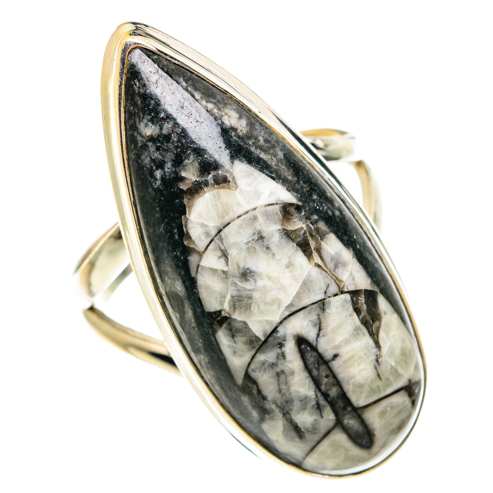 Orthoceras Fossil Rings handcrafted by Anasilvercos - RING77351