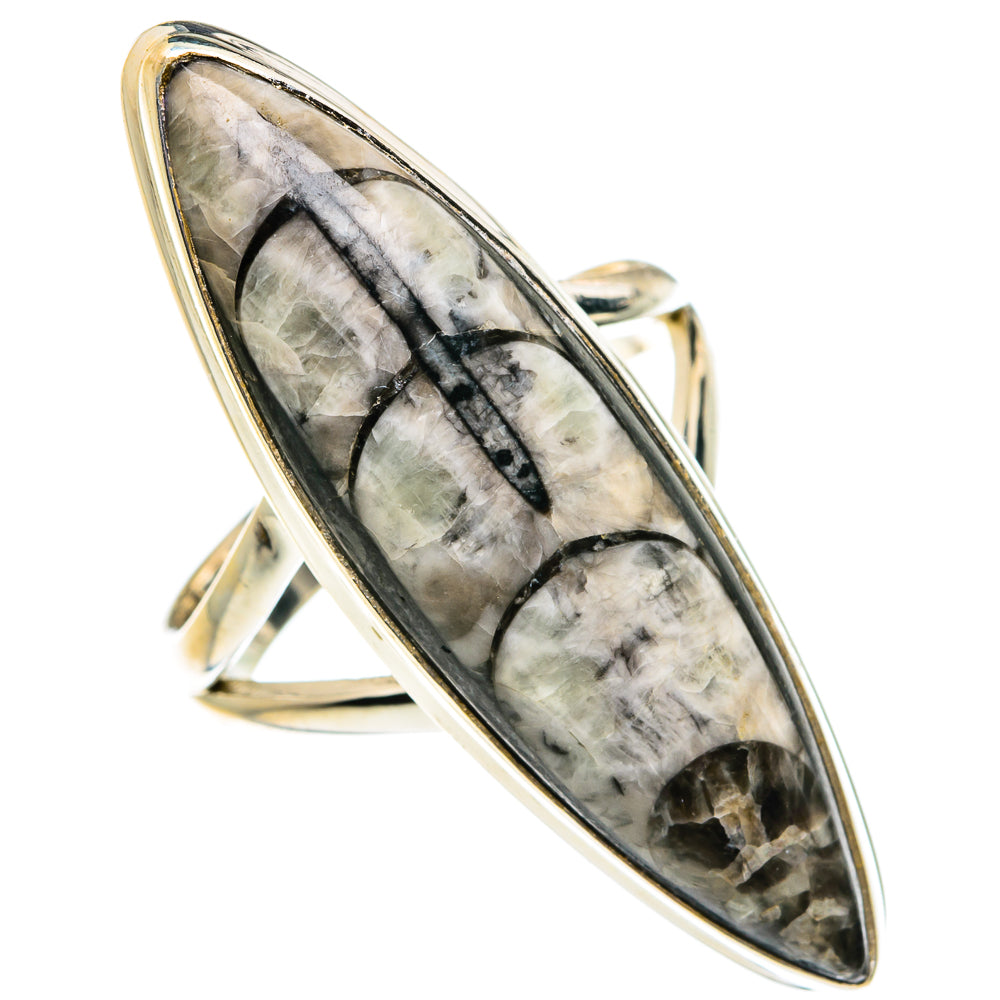 Orthoceras Fossil Rings handcrafted by Anasilvercos - RING77692