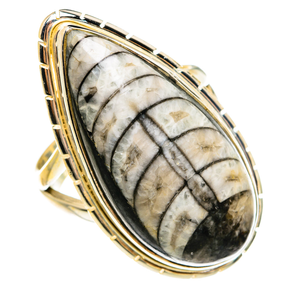 Orthoceras Fossil Rings handcrafted by Anasilvercos - RING78026