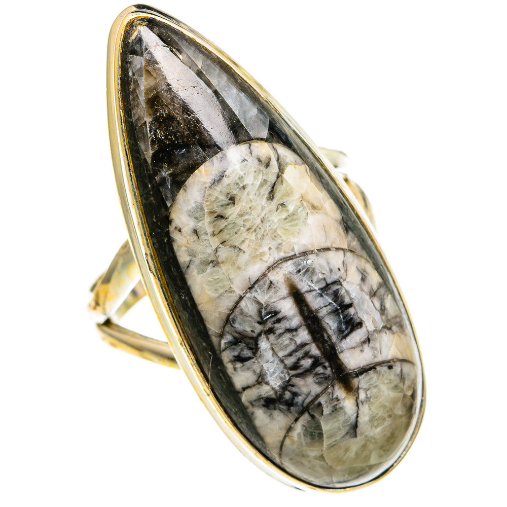 Orthoceras Fossil Rings handcrafted by Anasilvercos - RING78131