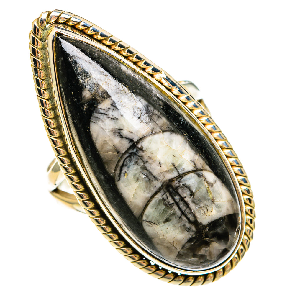 Orthoceras Fossil Rings handcrafted by Anasilvercos - RING78168