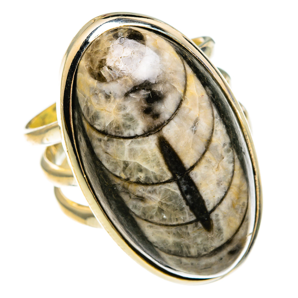 Orthoceras Fossil Rings handcrafted by Anasilvercos - RING78178