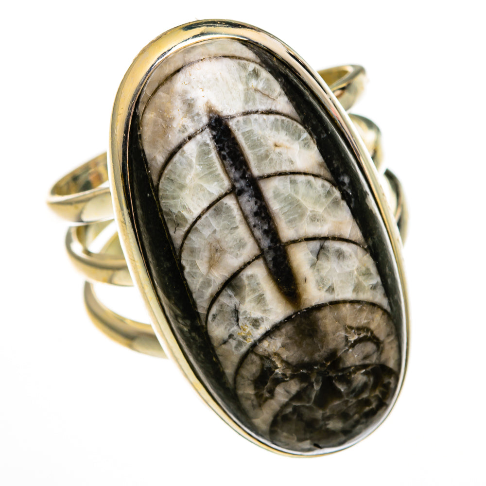 Orthoceras Fossil Rings handcrafted by Anasilvercos - RING78530
