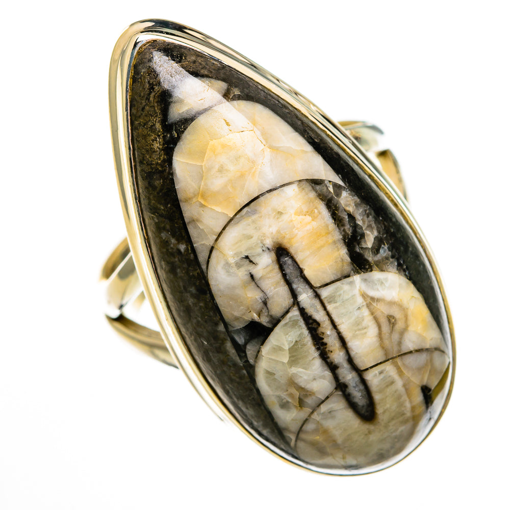 Orthoceras Fossil Rings handcrafted by Anasilvercos - RING78588