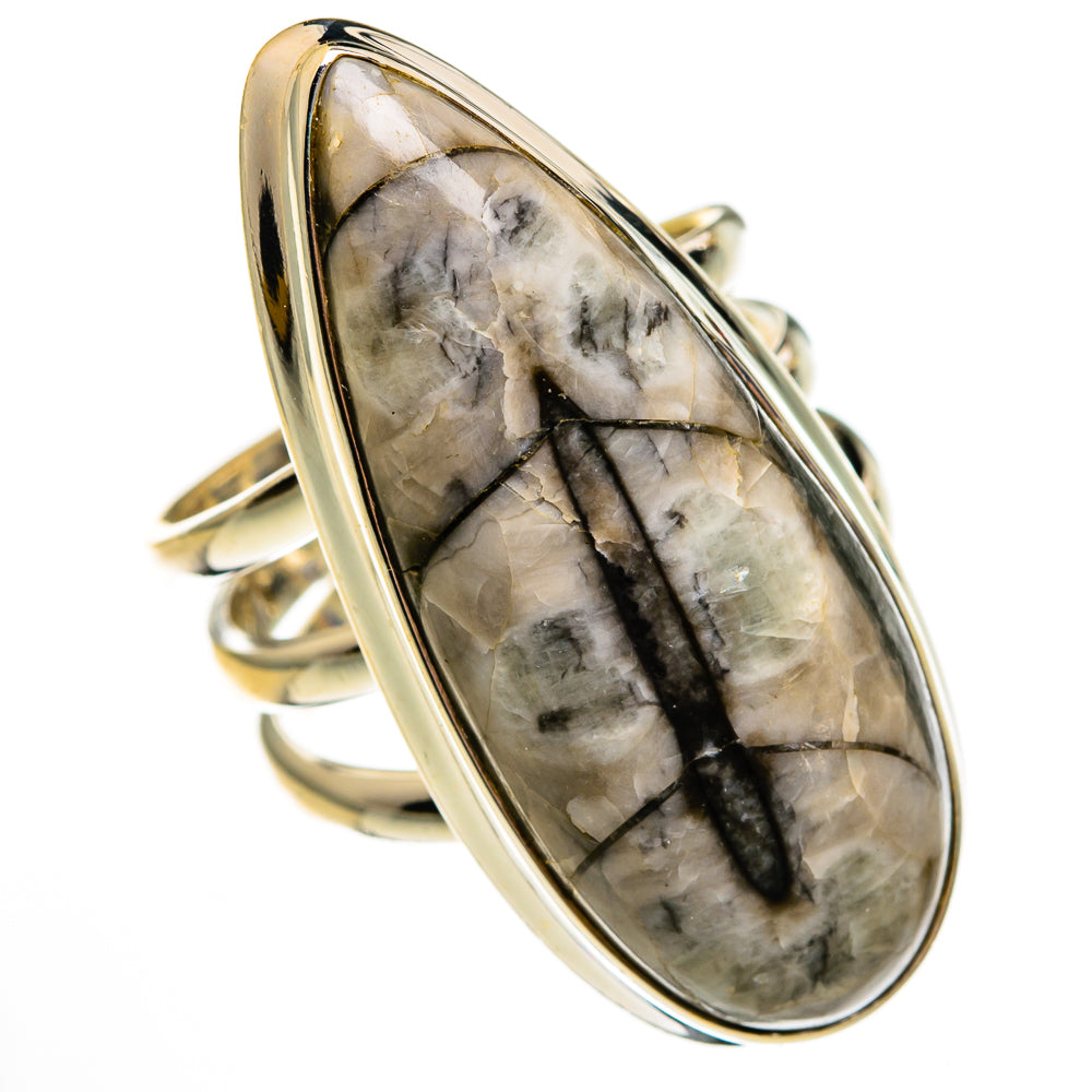 Orthoceras Fossil Rings handcrafted by Anasilvercos - RING78596