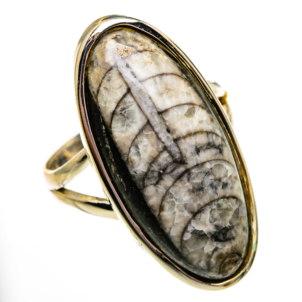Orthoceras Fossil Rings handcrafted by Anasilvercos - RING78621