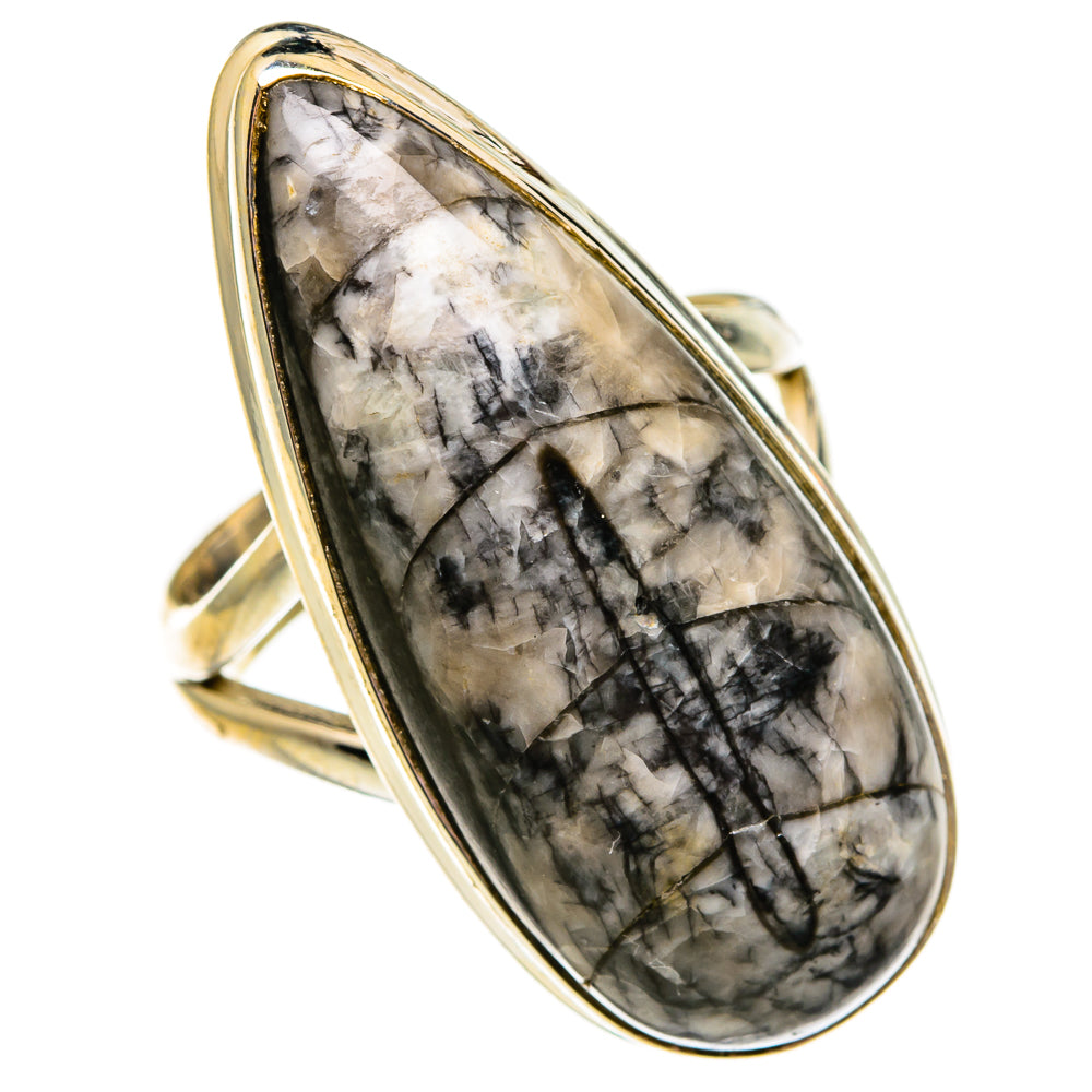 Orthoceras Fossil Rings handcrafted by Anasilvercos - RING78645