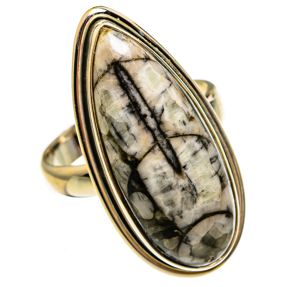 Orthoceras Fossil Rings handcrafted by Anasilvercos - RING78729