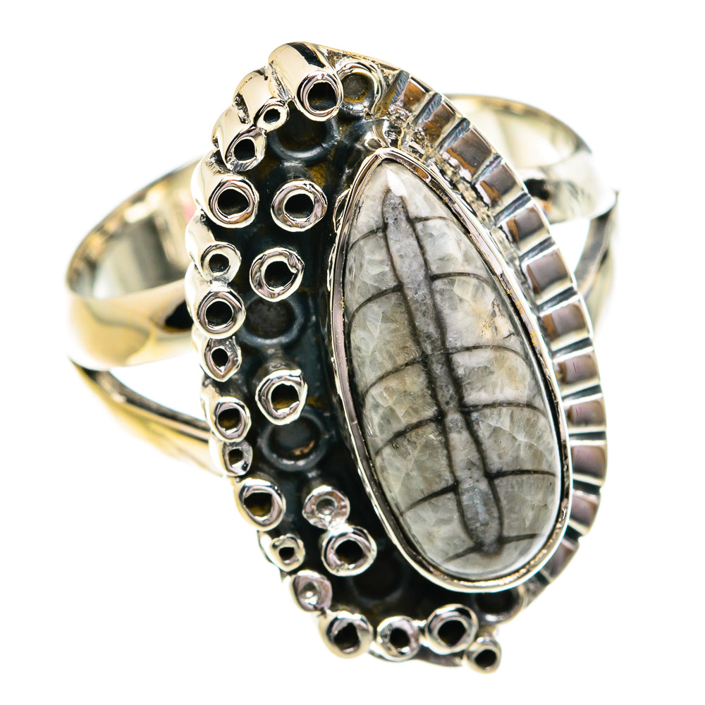 Orthoceras Fossil Rings handcrafted by Anasilvercos - RING79106