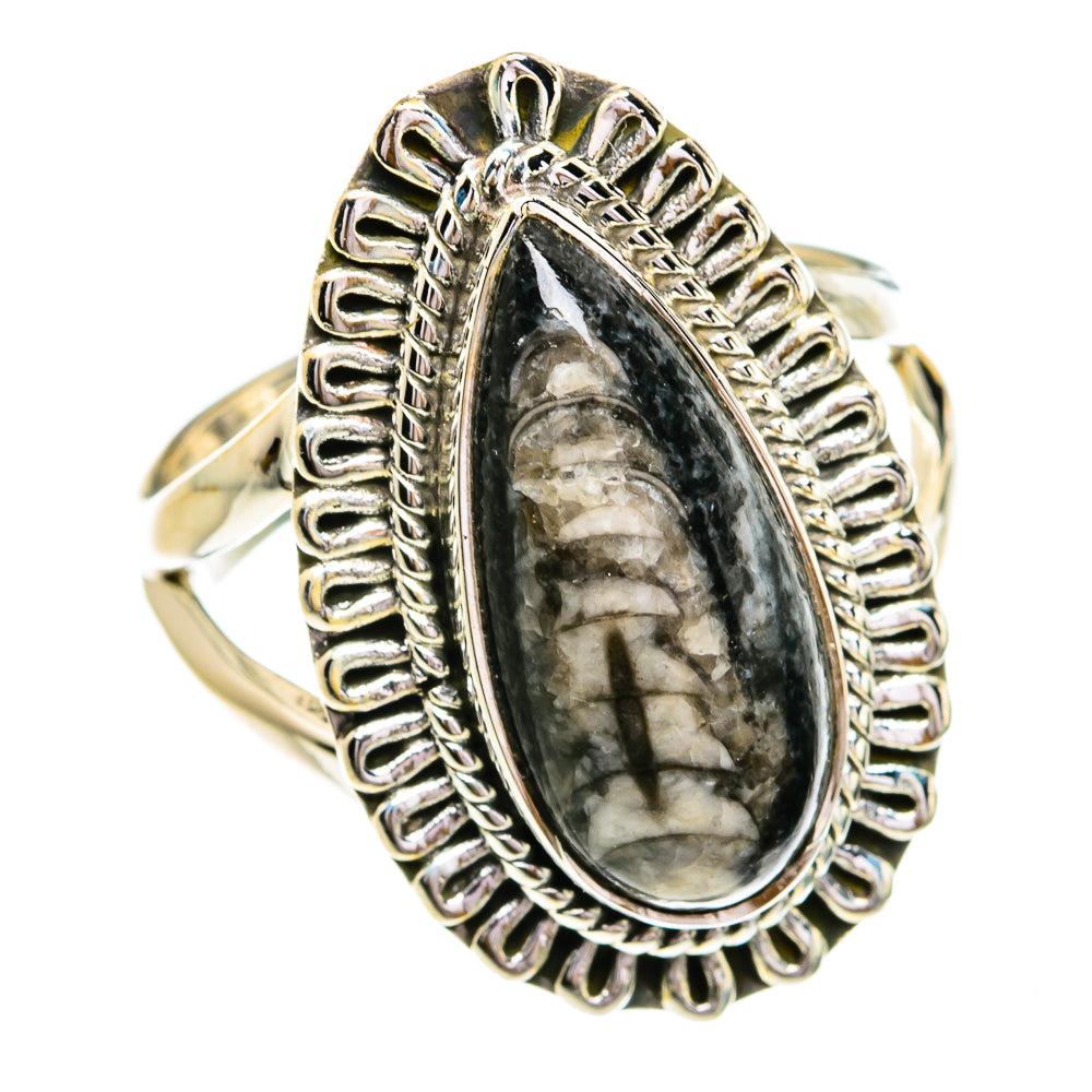 Orthoceras Fossil Rings handcrafted by Anasilvercos - RING79278