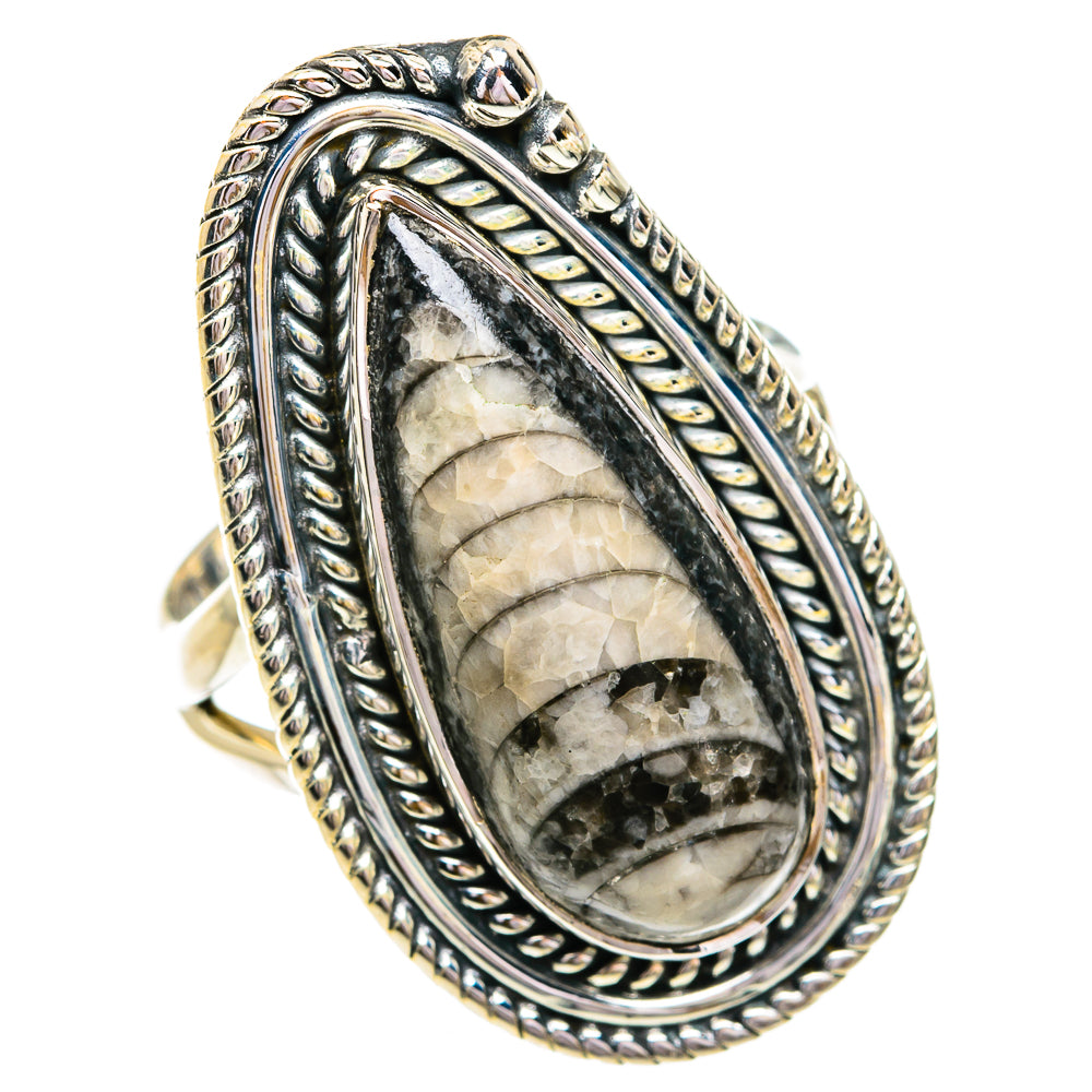 Orthoceras Fossil Rings handcrafted by Anasilvercos - RING79329