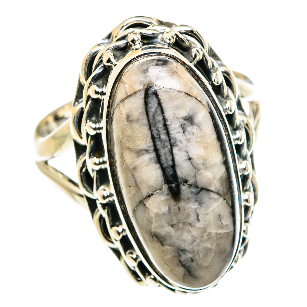 Orthoceras Fossil Rings handcrafted by Anasilvercos - RING79506