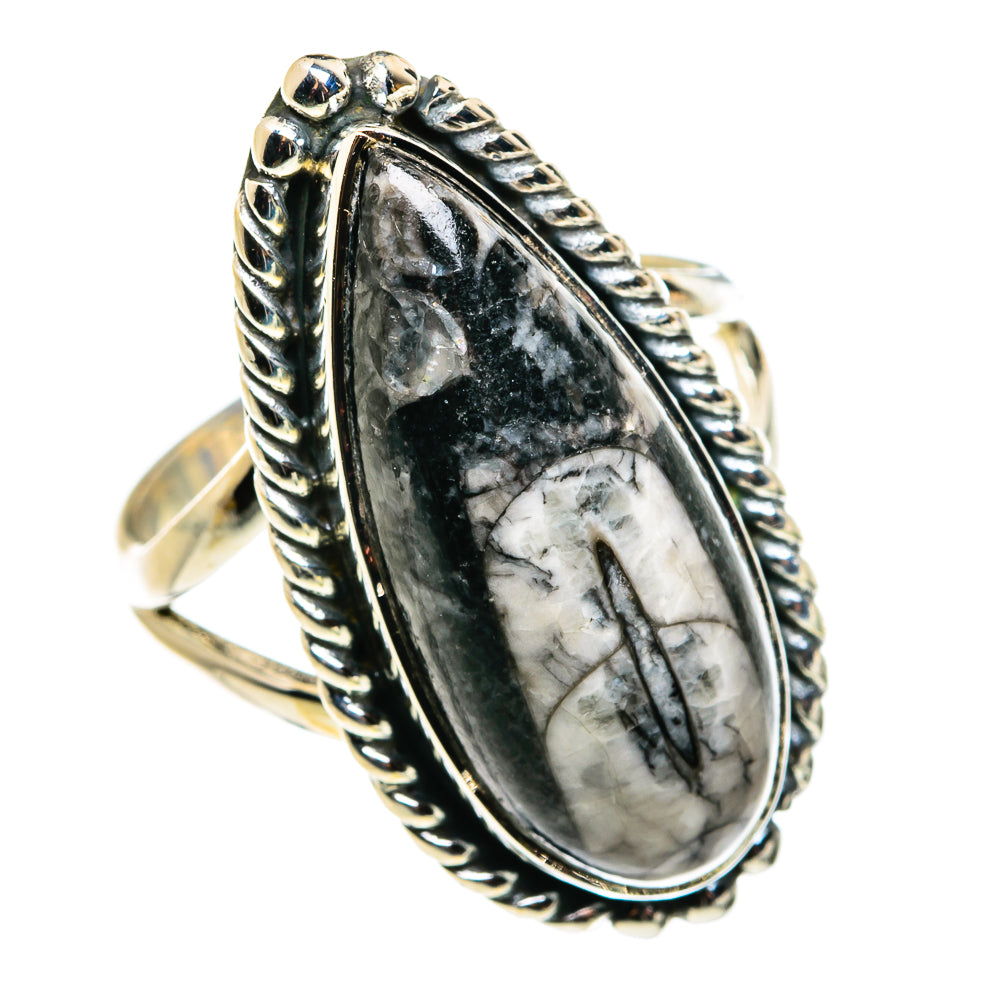 Orthoceras Fossil Rings handcrafted by Anasilvercos - RING79630