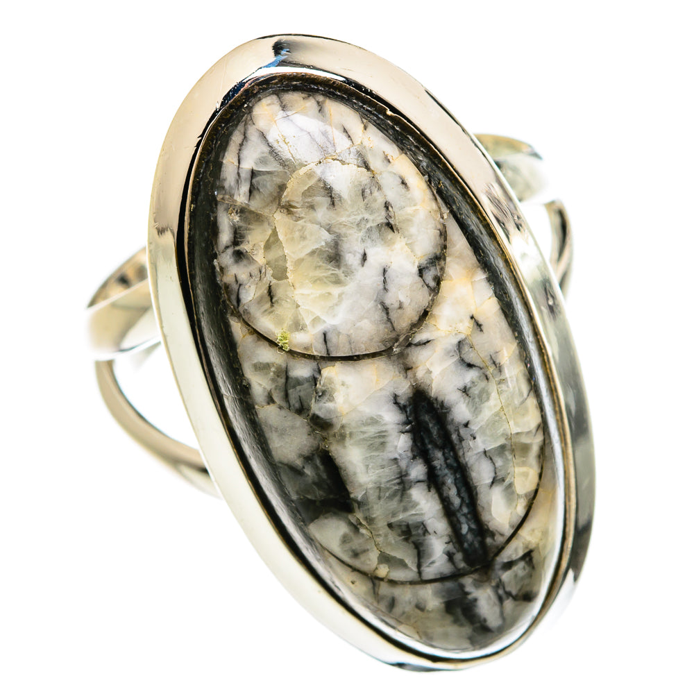 Orthoceras Fossil Rings handcrafted by Anasilvercos - RING80358