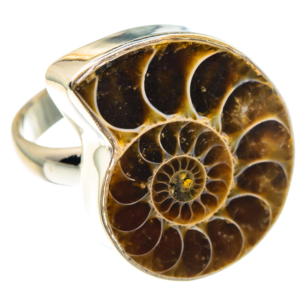 Ammonite Fossil Rings handcrafted by Anasilvercos - RING88395