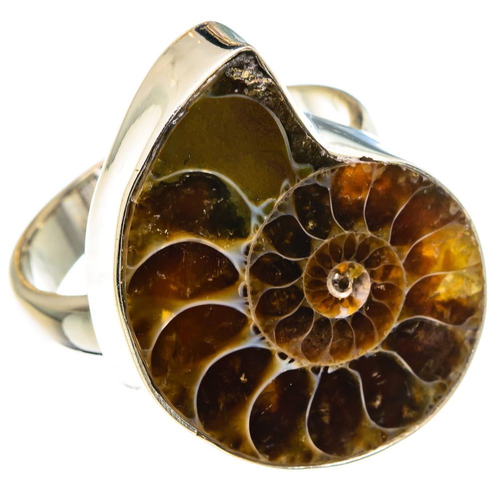 Ammonite Fossil Rings handcrafted by Anasilvercos - RING88425