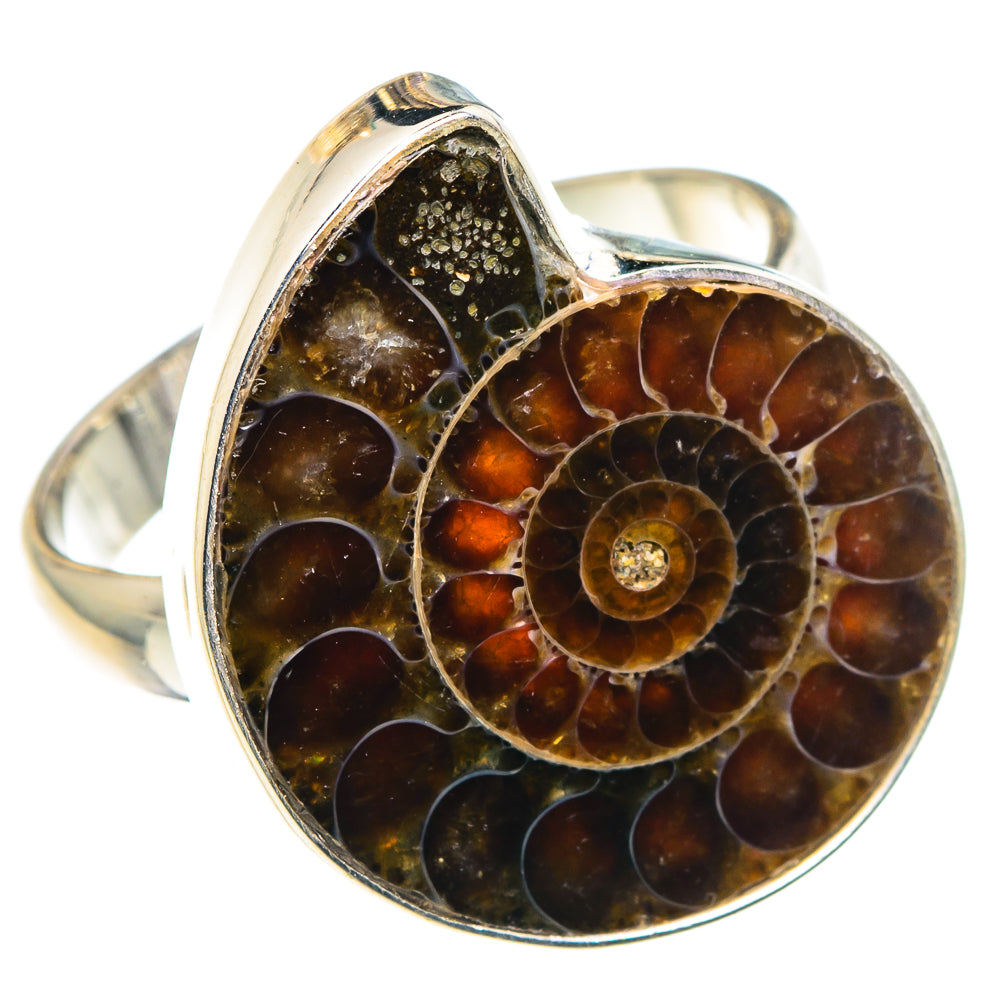 Ammonite Fossil Rings handcrafted by Anasilvercos - RING88451