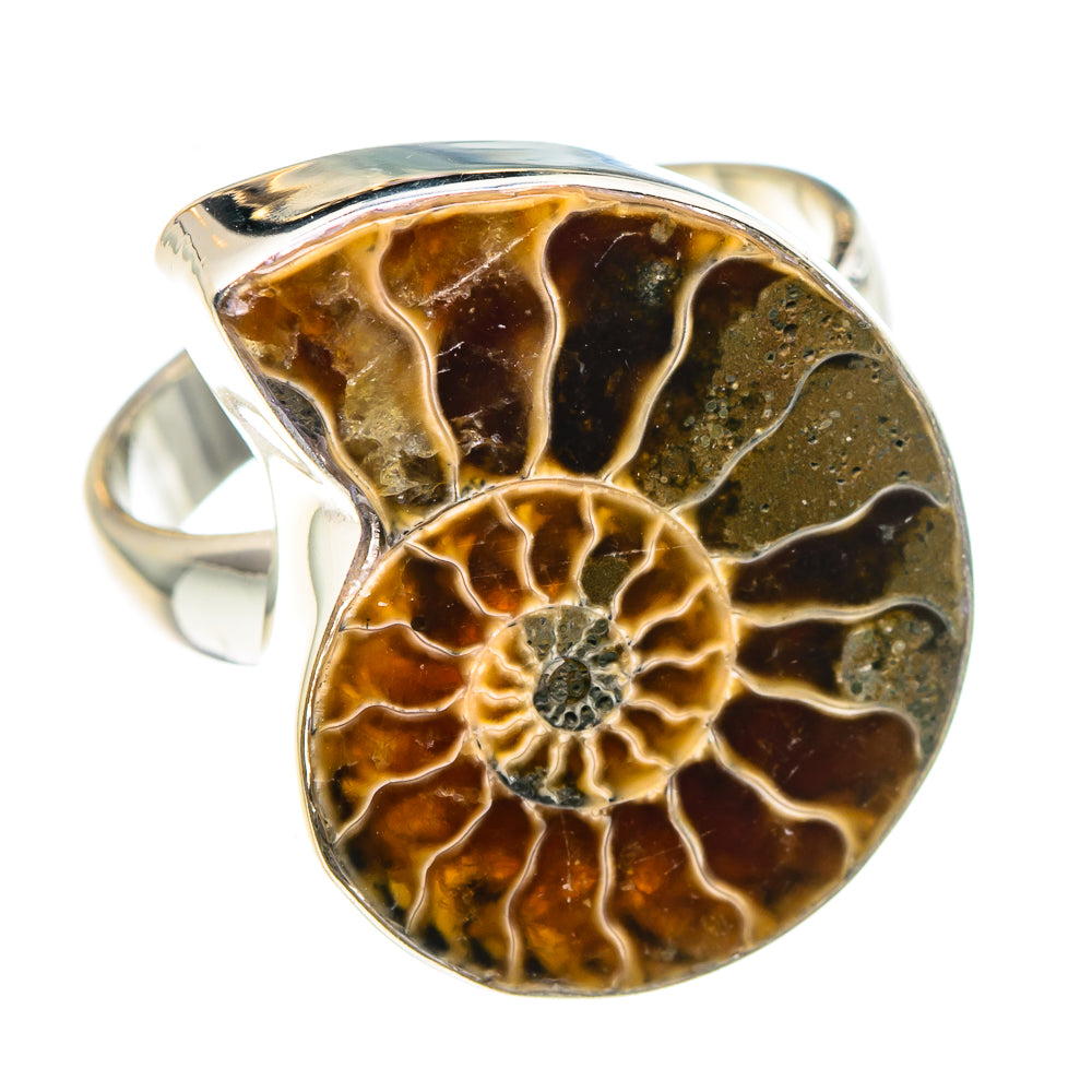 Ammonite Fossil Rings handcrafted by Anasilvercos - RING88767
