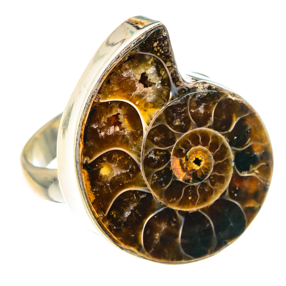 Ammonite Fossil Rings handcrafted by Anasilvercos - RING89047