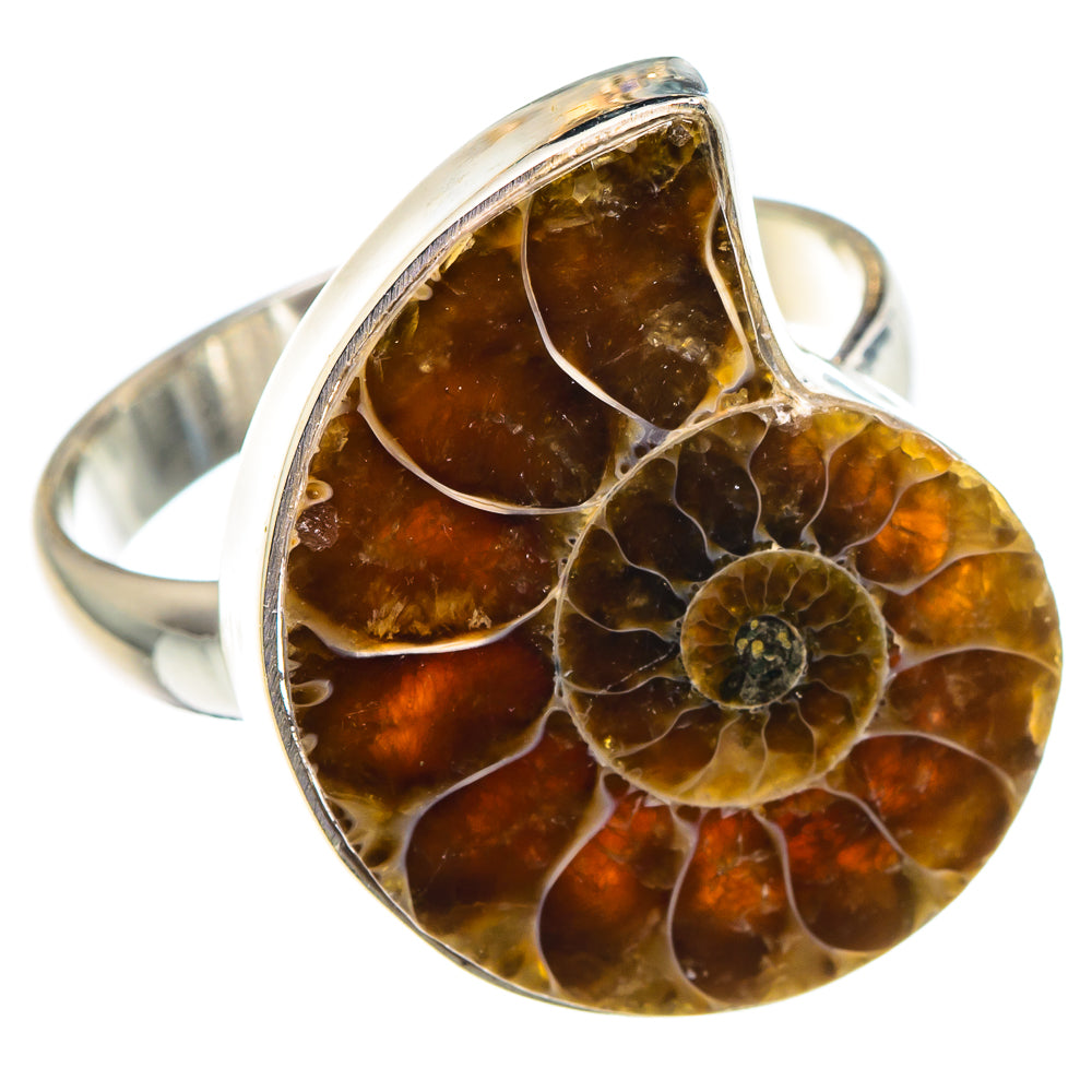 Ammonite Fossil Rings handcrafted by Anasilvercos - RING89077