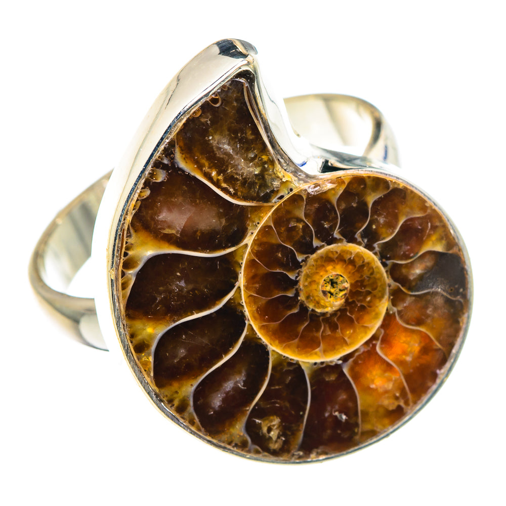Ammonite Fossil Rings handcrafted by Anasilvercos - RING89306