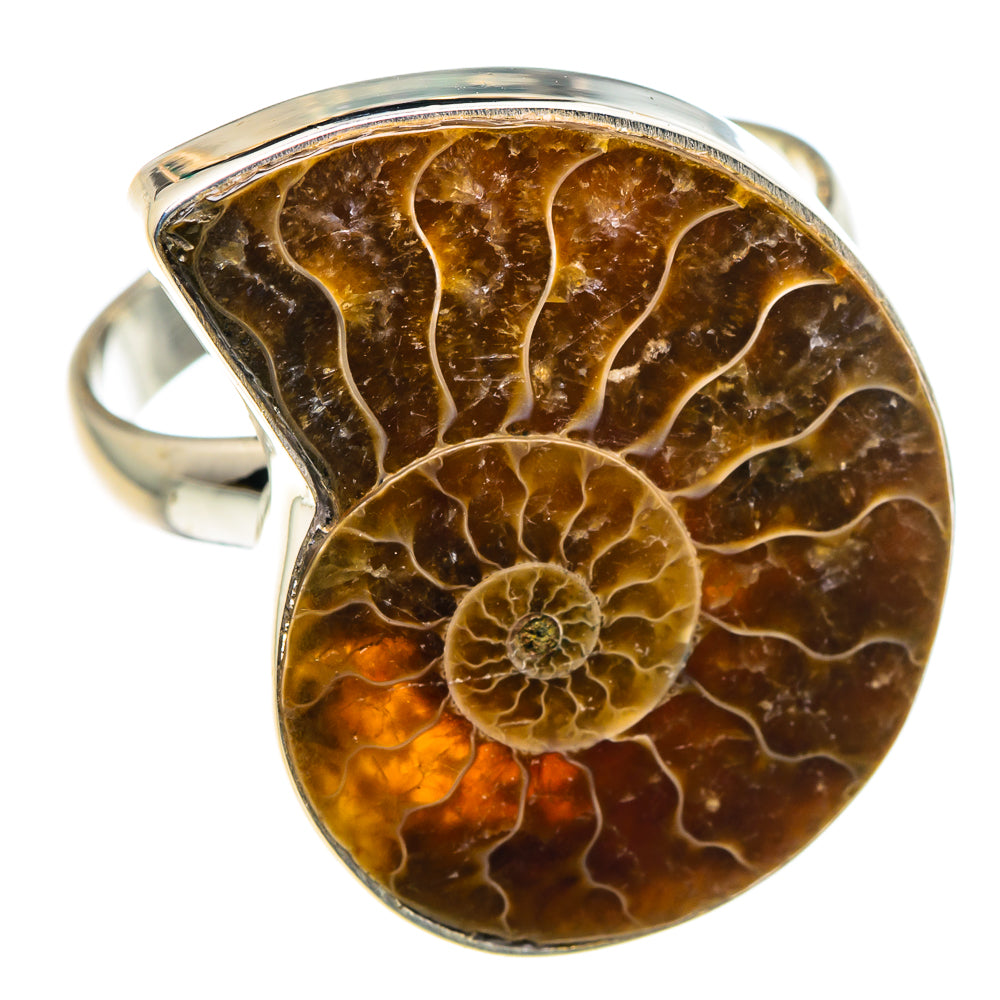 Ammonite Fossil Rings handcrafted by Anasilvercos - RING89337