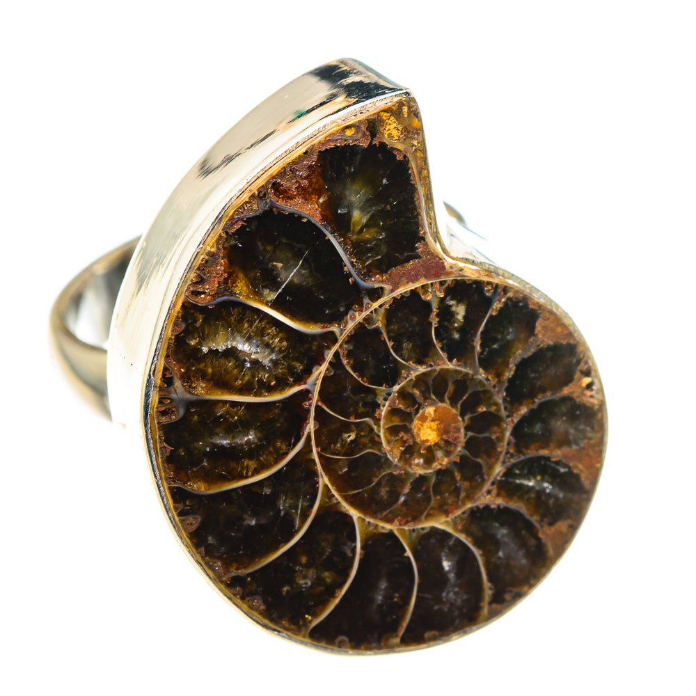 Ammonite Fossil Rings handcrafted by Anasilvercos - RING89618
