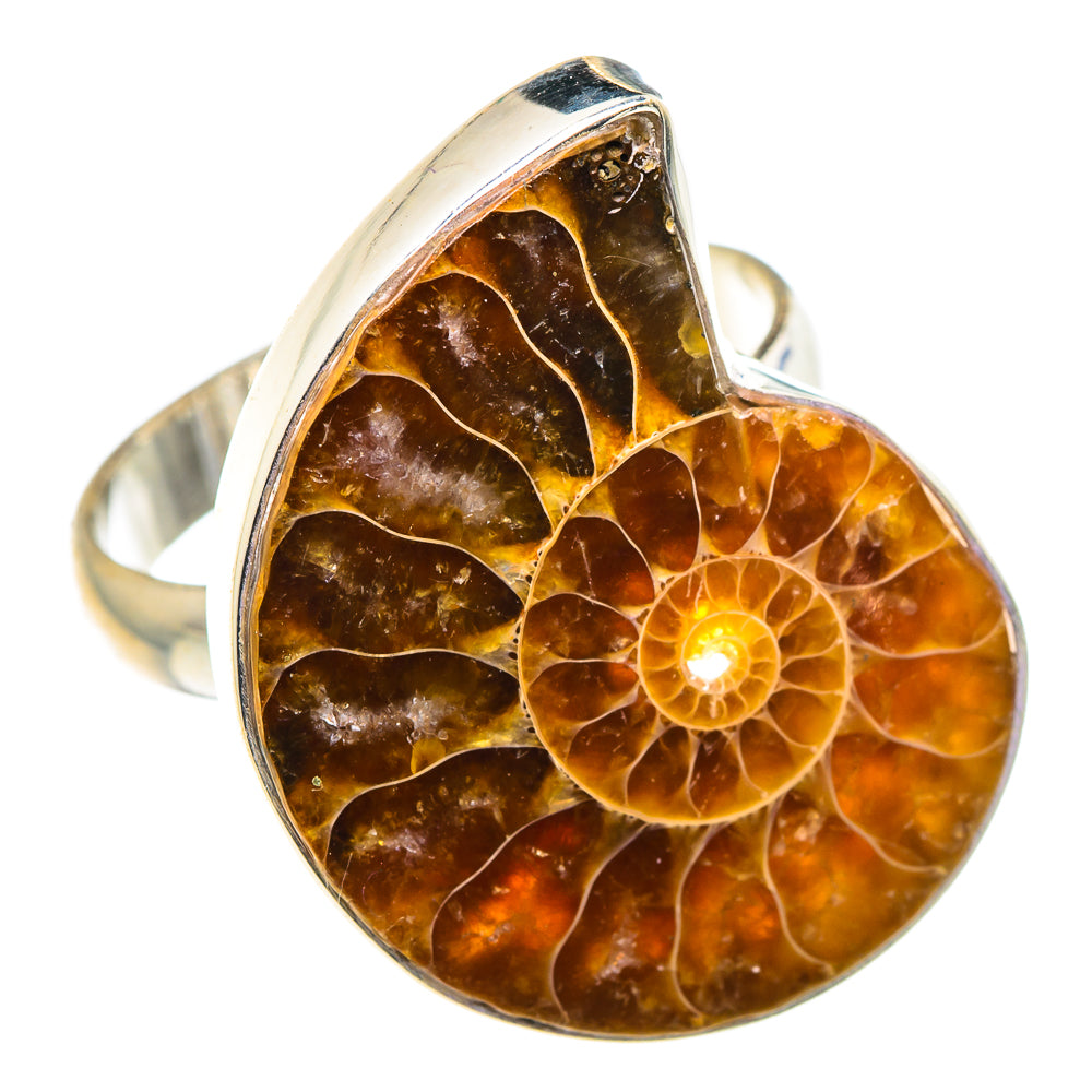 Ammonite Fossil Rings handcrafted by Anasilvercos - RING89653