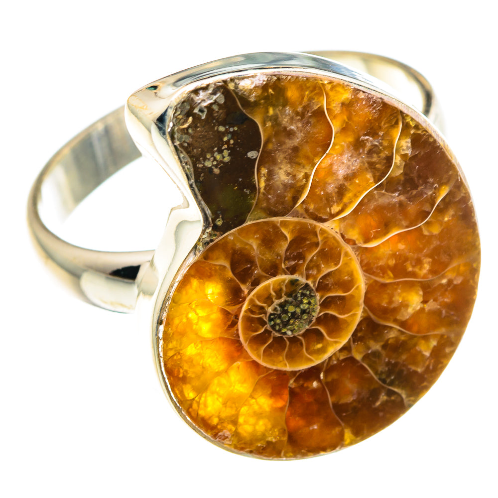 Ammonite Fossil Rings handcrafted by Anasilvercos - RING89963