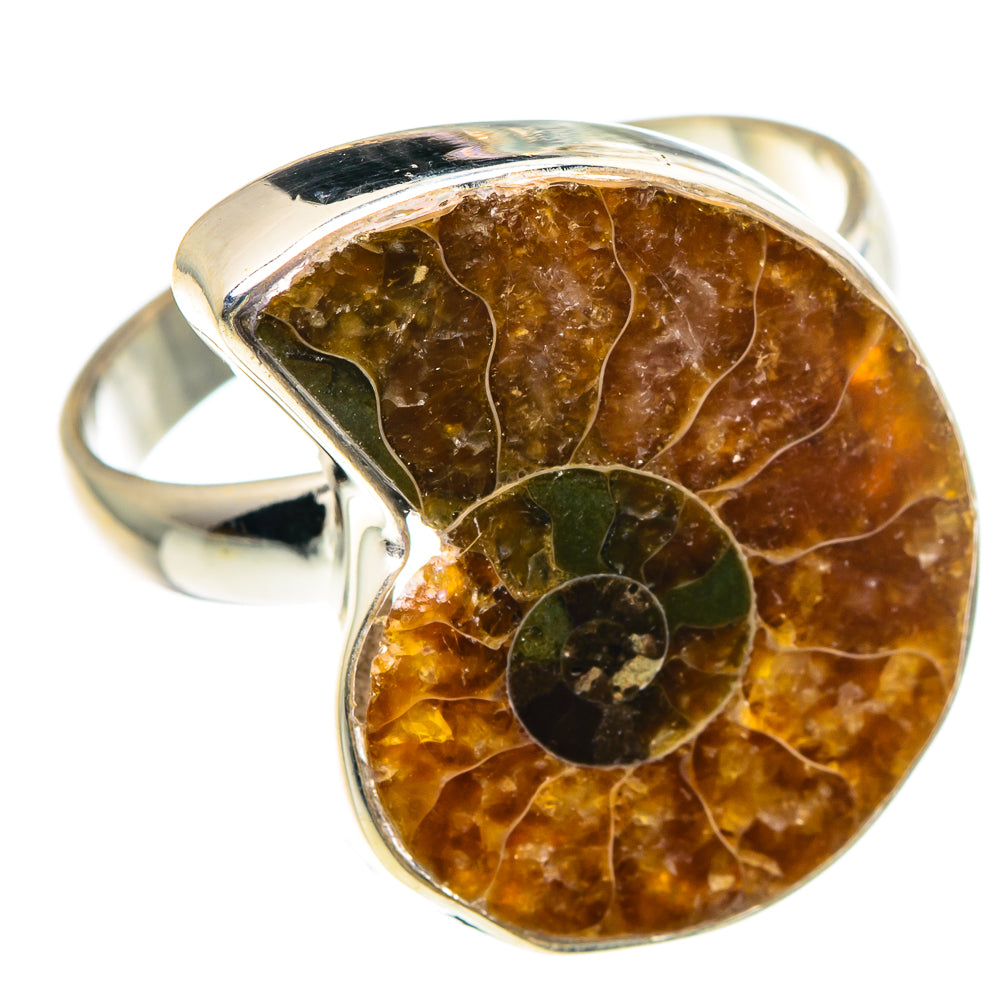 Ammonite Fossil Rings handcrafted by Anasilvercos - RING90606