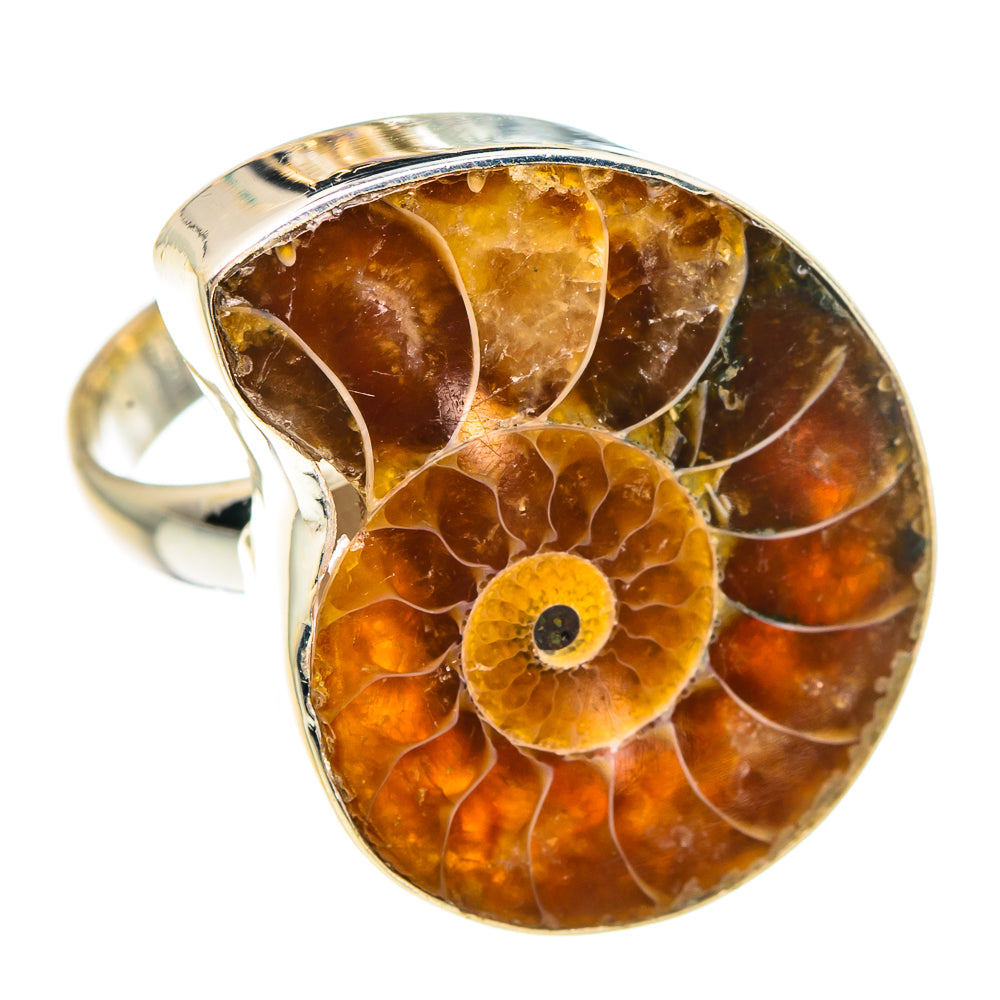 Ammonite Fossil Rings handcrafted by Anasilvercos - RING90866