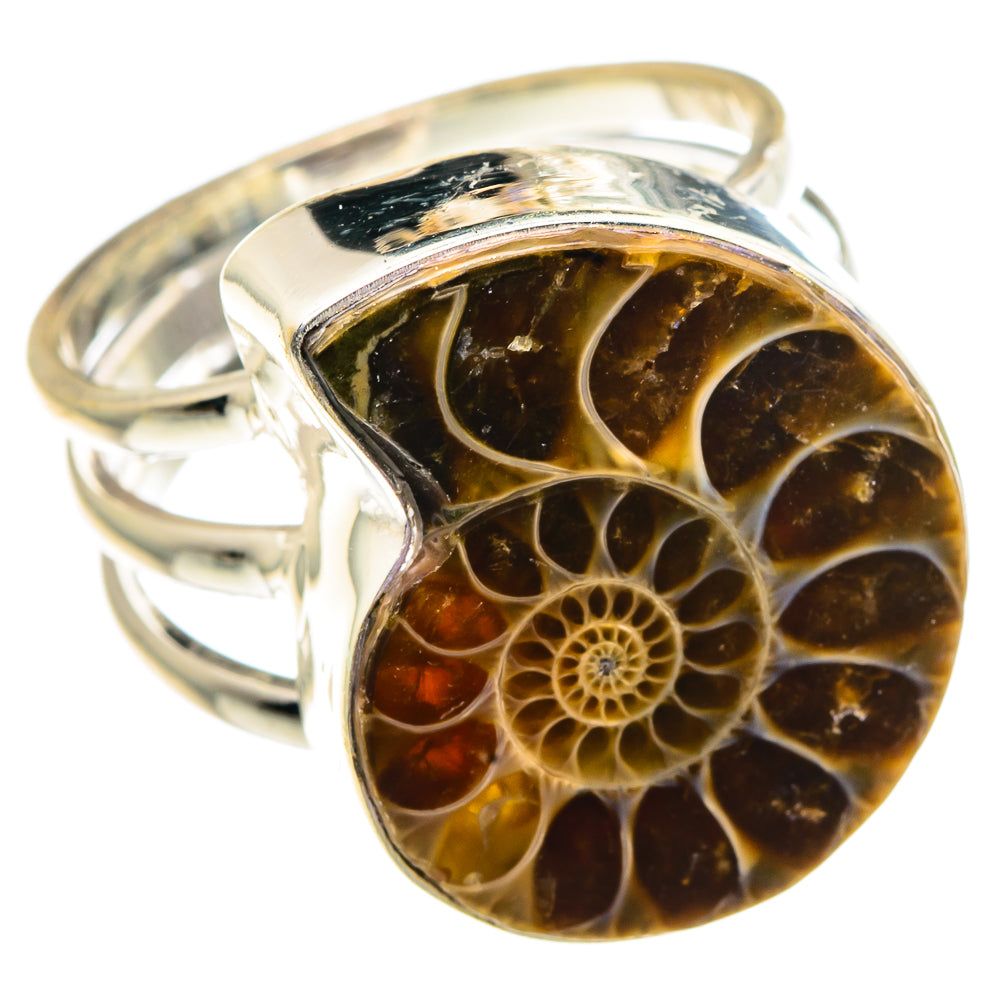 Ammonite Fossil Rings handcrafted by Anasilvercos - RING91172