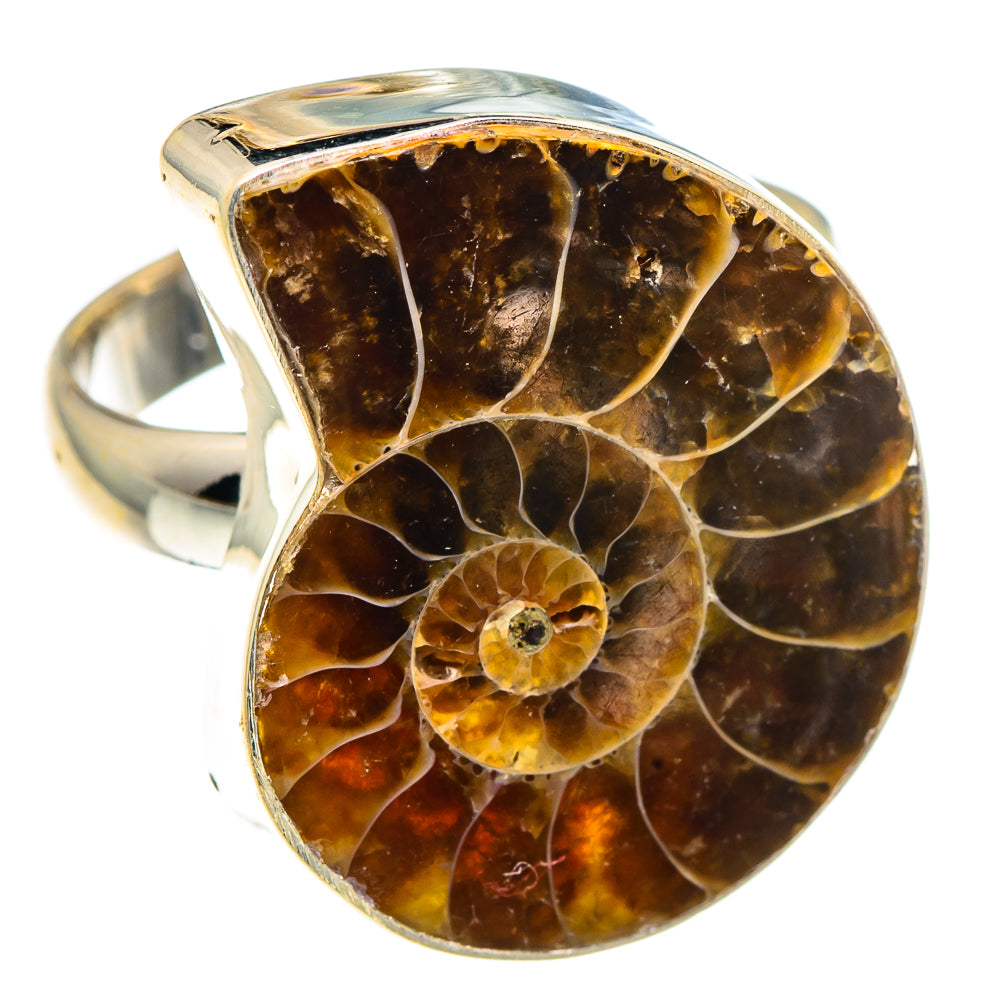 Ammonite Fossil Rings handcrafted by Anasilvercos - RING91222
