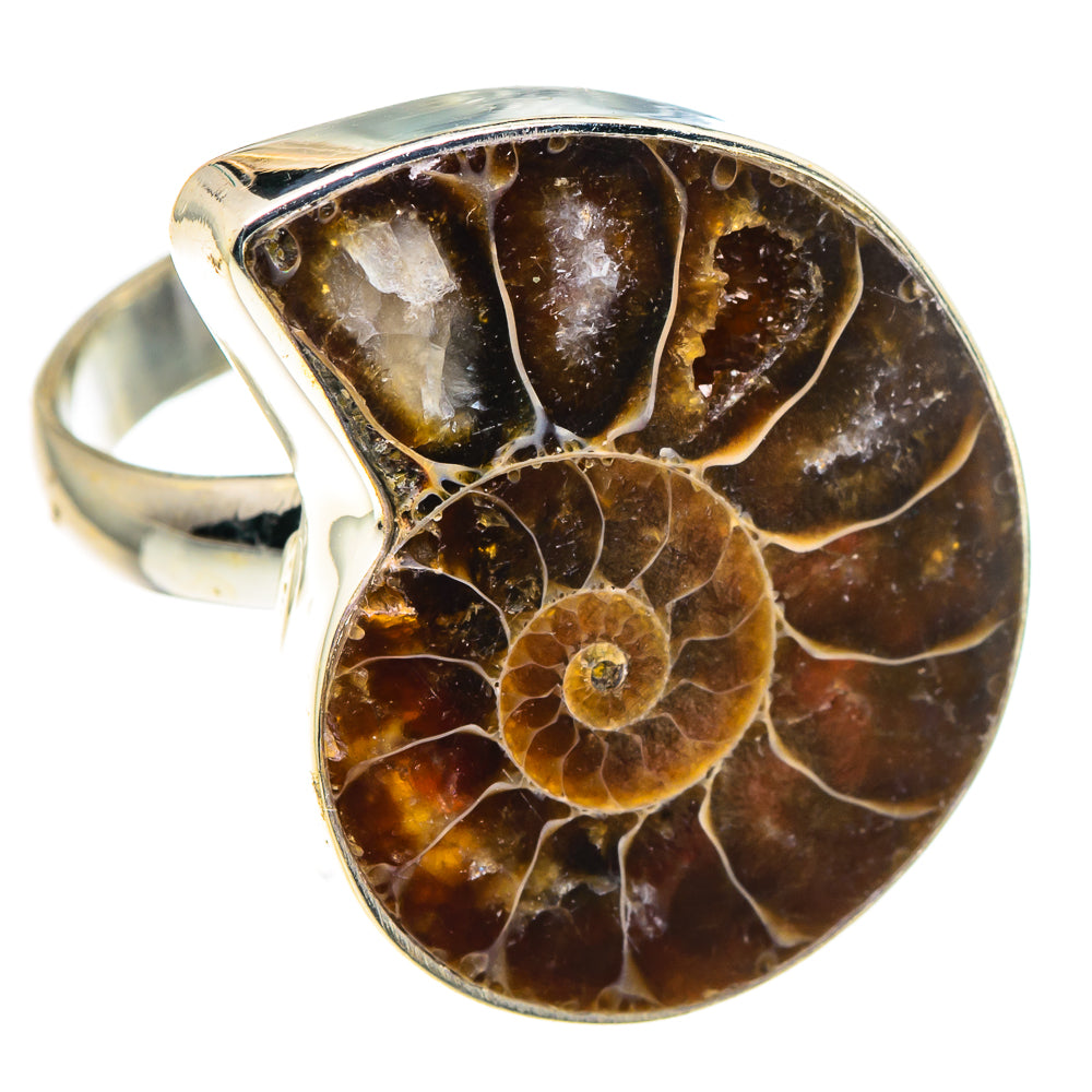 Ammonite Fossil Rings handcrafted by Anasilvercos - RING91261