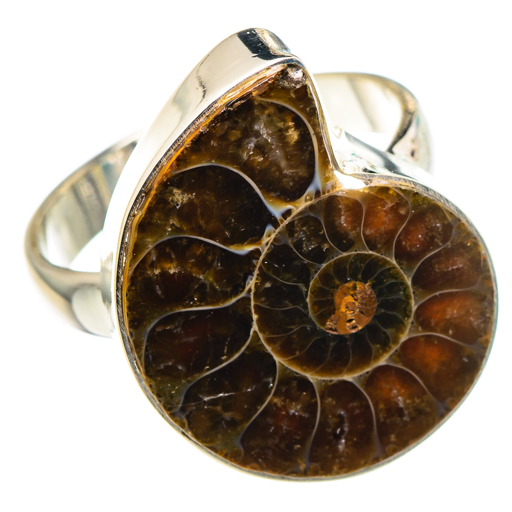 Ammonite Fossil Rings handcrafted by Anasilvercos - RING91304